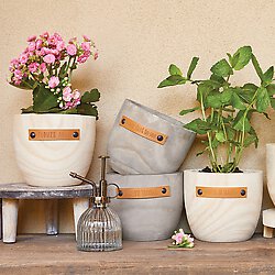 Wood Planter - Talk Dirt To Me