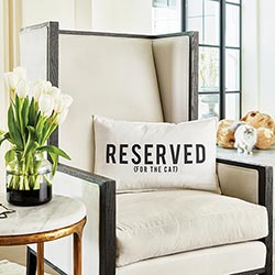 Lumbar Pillow - Reserved (For The Cat)